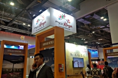 ITB-SG-2019-25